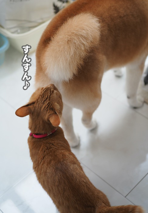 13日夕ブログ２