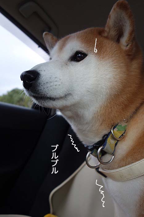 17日ブログ２