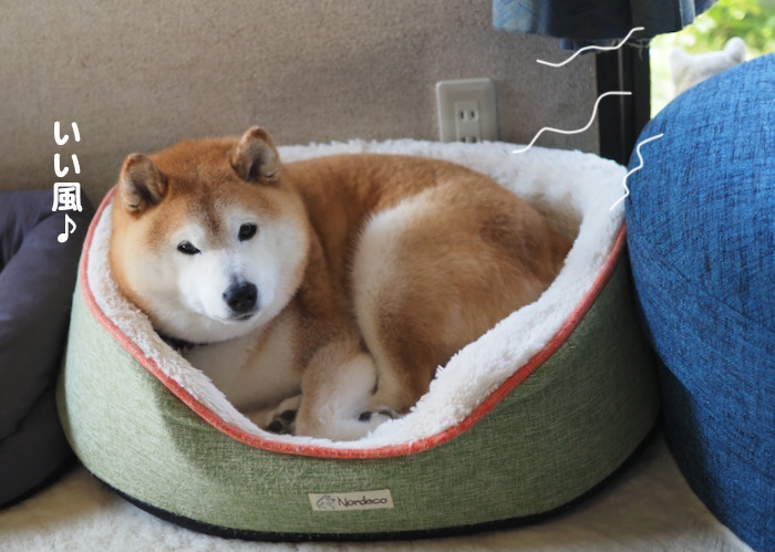 24日ブログ１