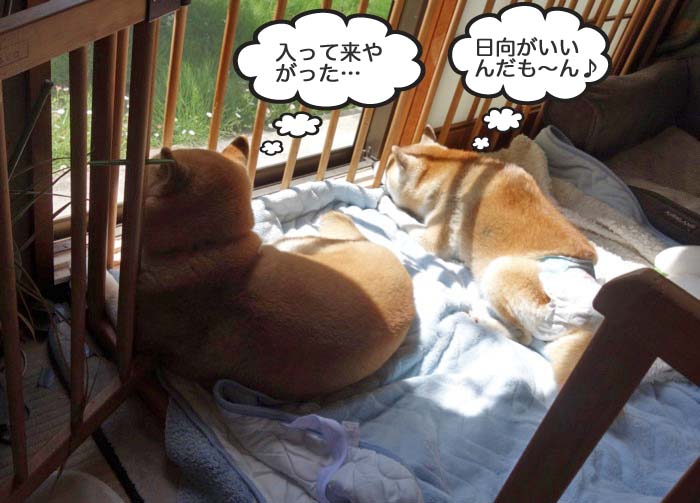 25日夜ブログ３