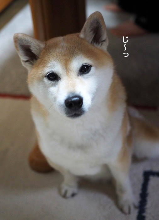27日夜ブログ６