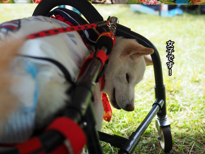 13日夜ブログ７