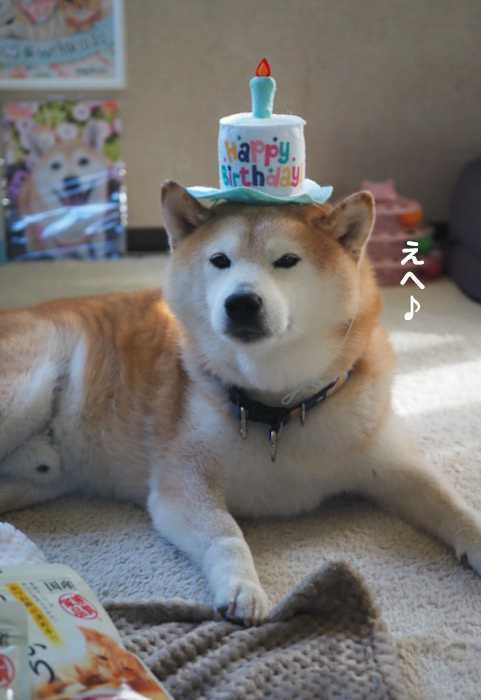 23日ブログ７