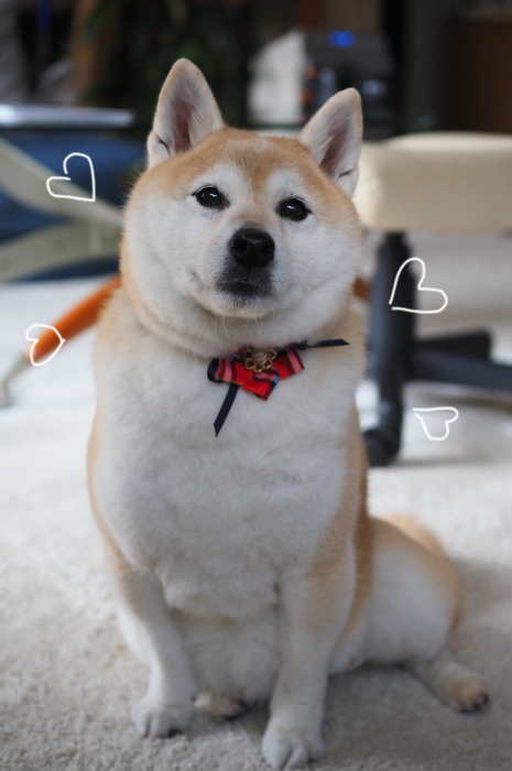 10日ブログ１０