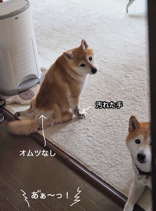 17日夜ブログ７