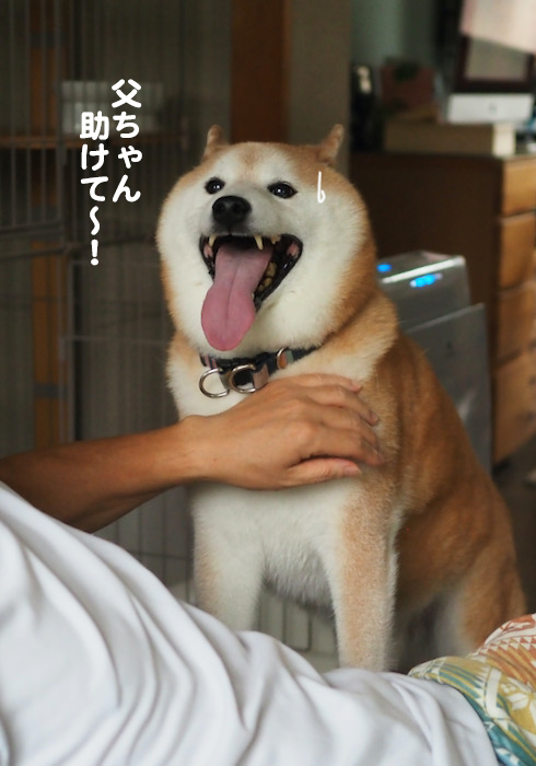6日夕ブログ７
