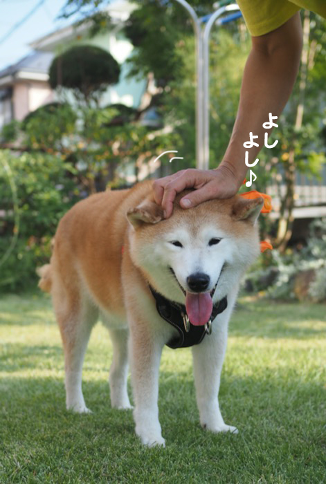 30日夕ブログ１０