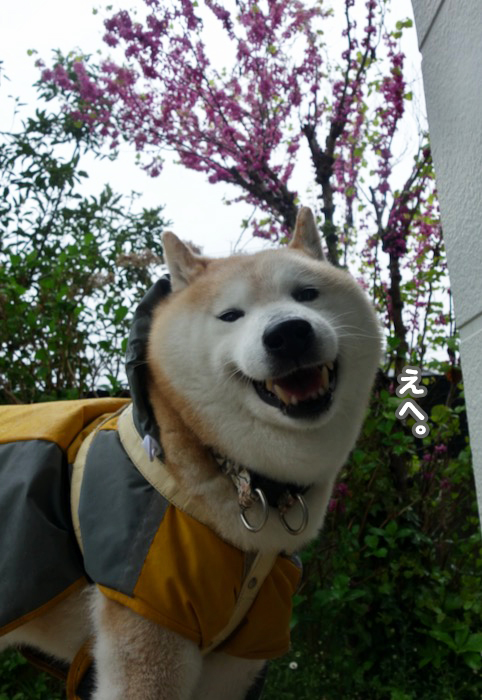 14日夕ブログ６