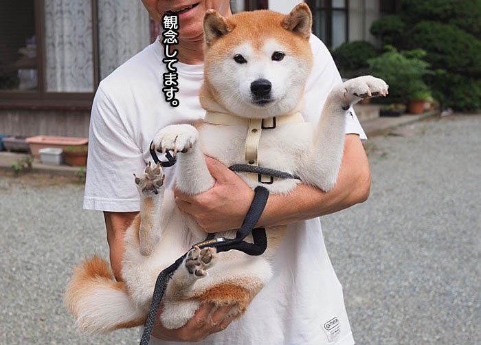5日ブログ４