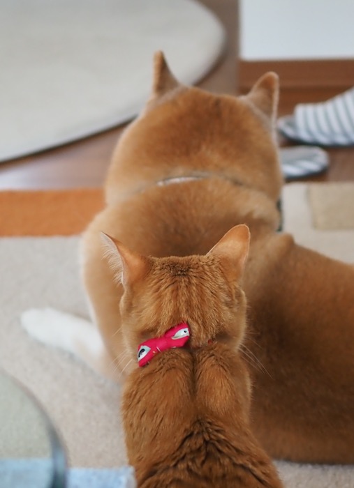 24日ブログ１