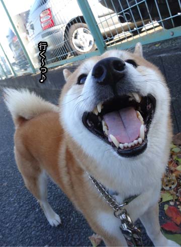 21日ブログ3.jpg