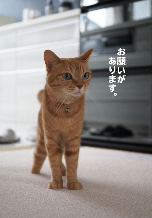 23日夕ブログ２