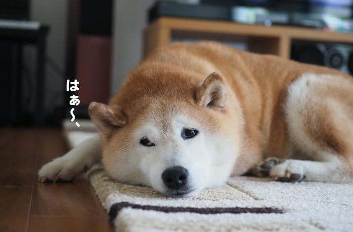 7日ブログ２