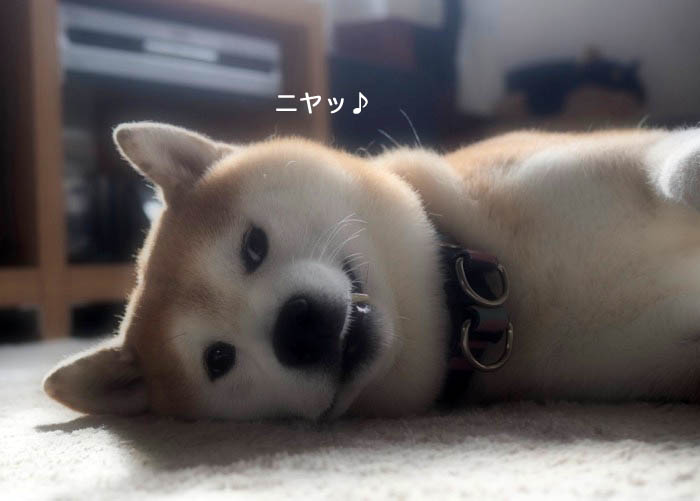 29日ブログ２