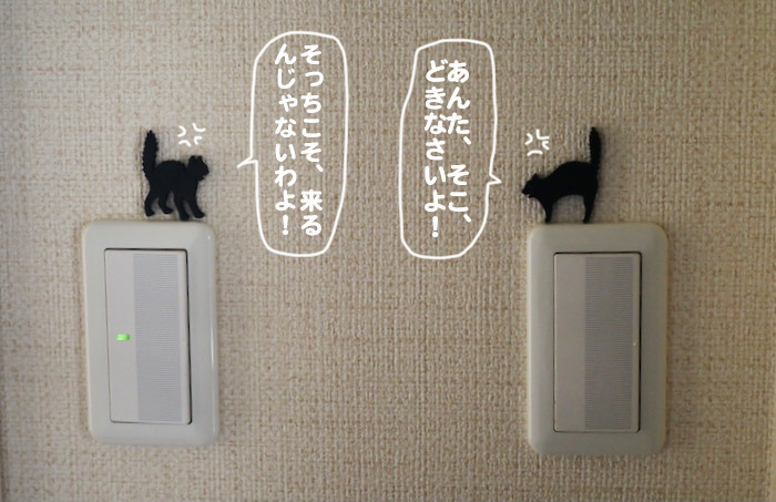 15日夕ブログ5