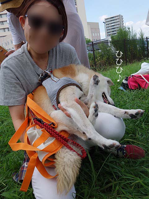 27日ブログ3