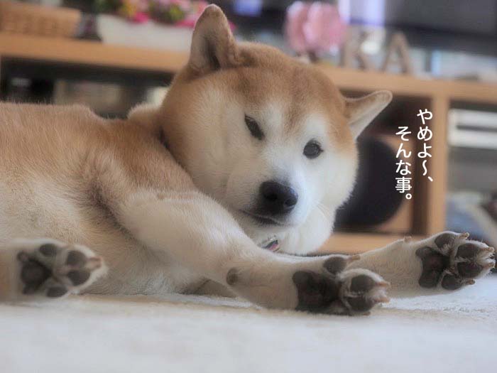 5日ブログ３