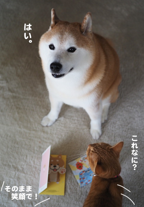 28日ブログ４