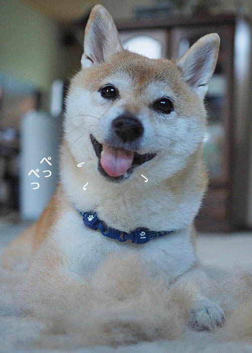 17日夜ブログ７