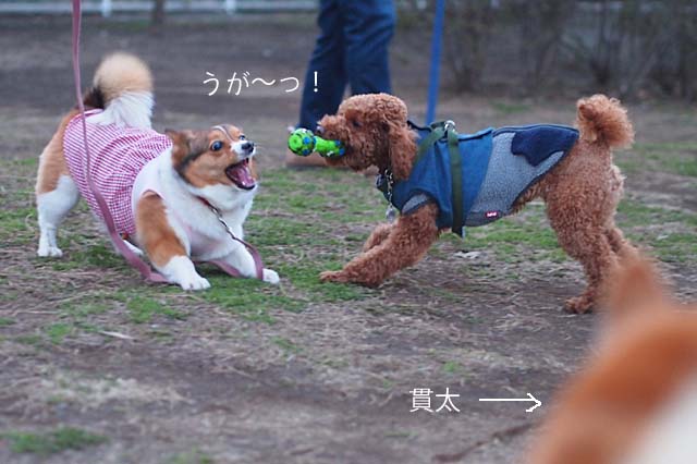 19日ブログ3