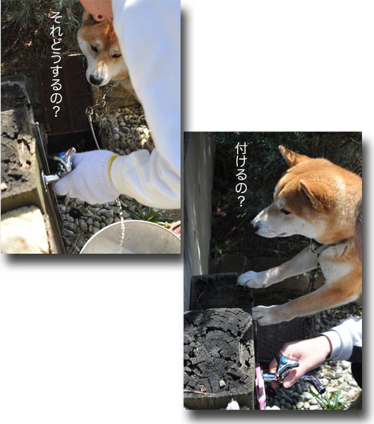 7日ブログ8.jpg