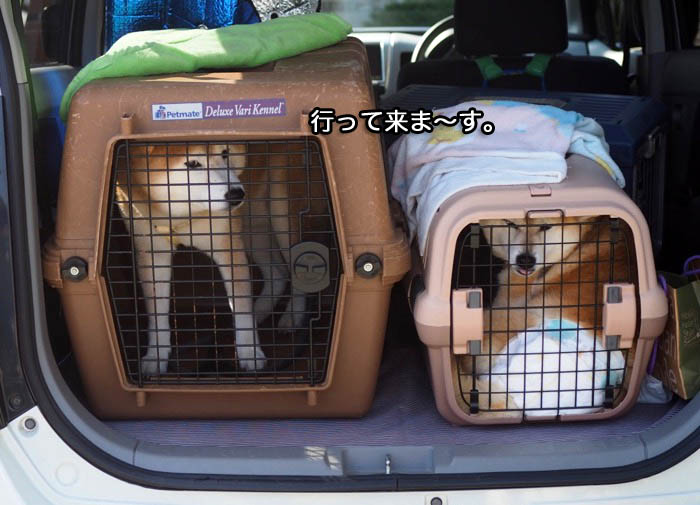 13日ブログ１０