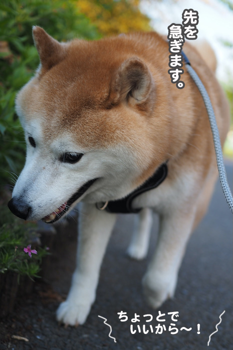 4日ブログ３