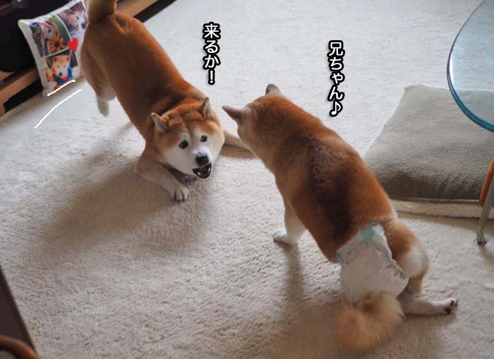 28日夜ブログ４