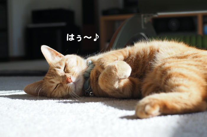 10日夕ブログ５