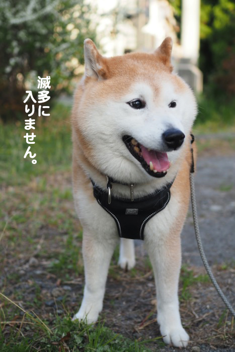 20日ブログ２
