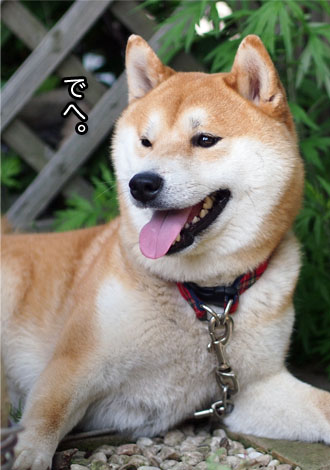 19日ブログ１１.jpg