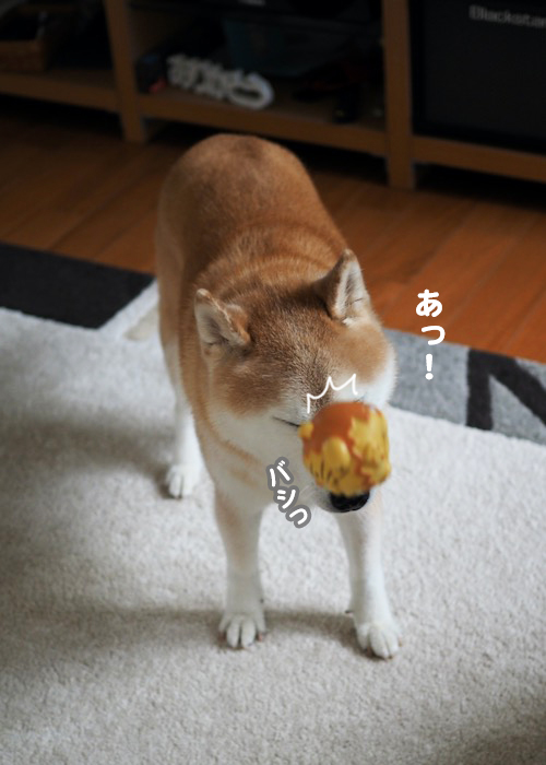 7日ブログ４