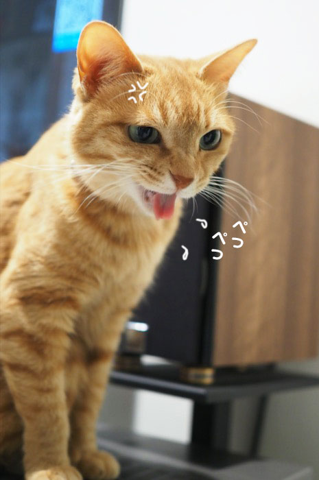 9日夕ブログ７