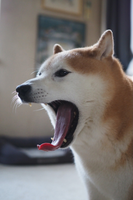 3日ブログ２