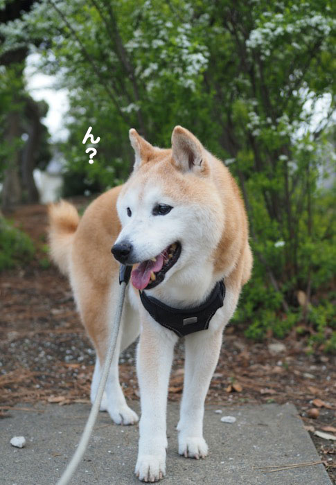 9日夕ブログ２