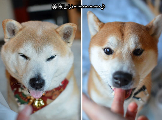 25日ブログ12.jpg