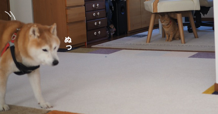 3日ブログ２