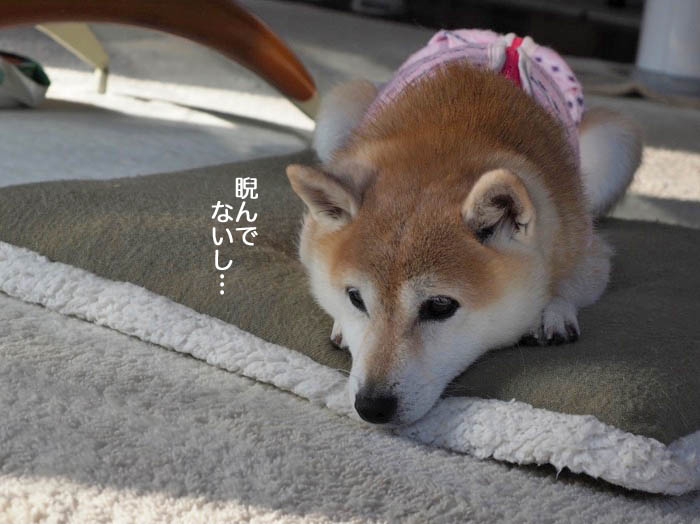 3日夜ブログ５