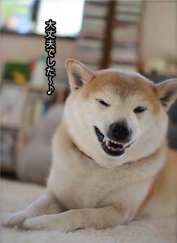 6日ブログ3.jpg