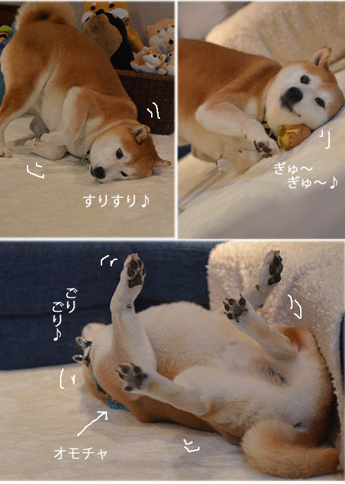 22日ブログ3
