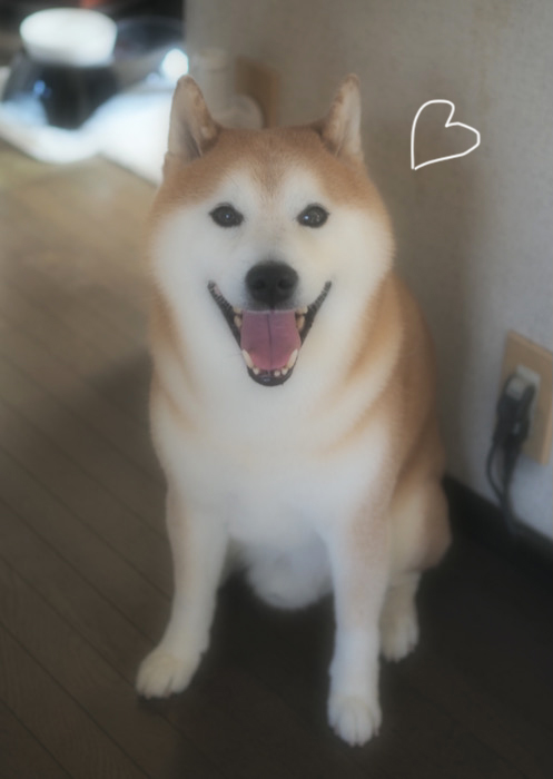 17日夜ブログ１２