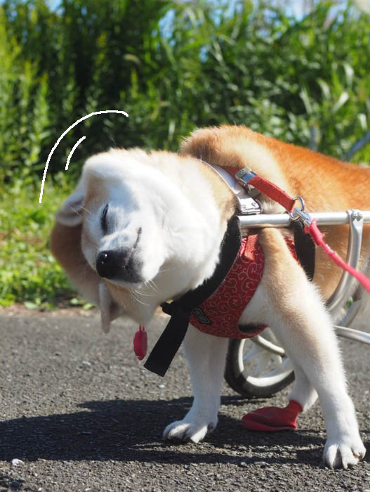 8日夕ブログ１１