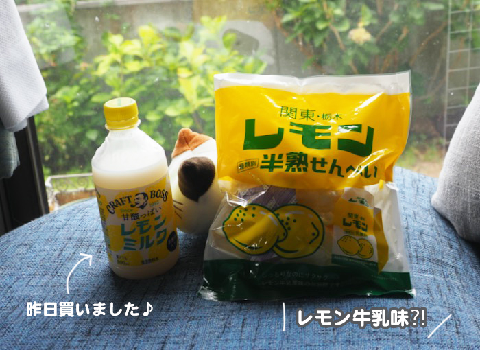 21日ブログ3