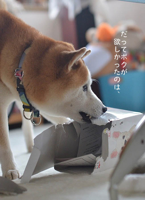 8日ブログ5