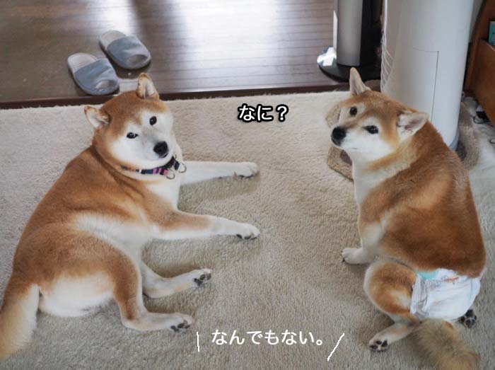 9日ブログ６
