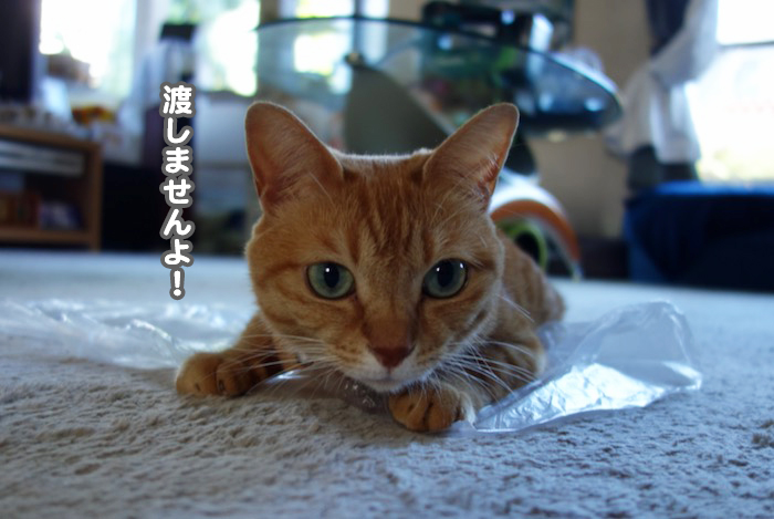 24日夕ブログ６