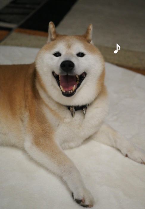4日夕ブログ３