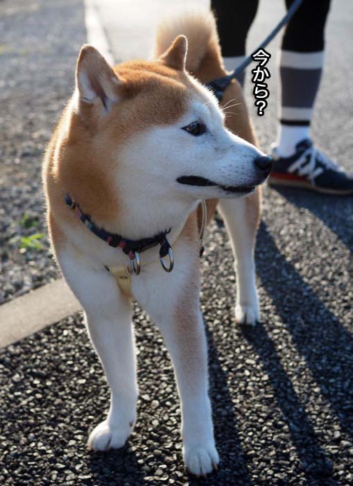 9日ブログ４