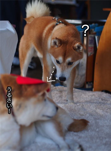 14日ブログ5.jpg
