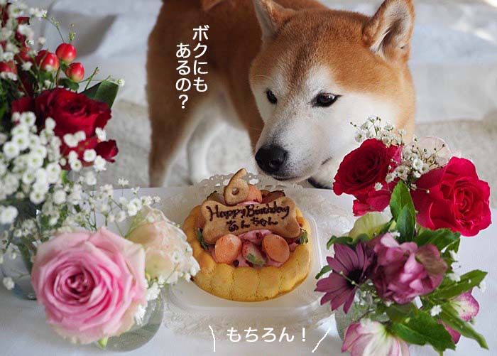 3日午後ブログ６